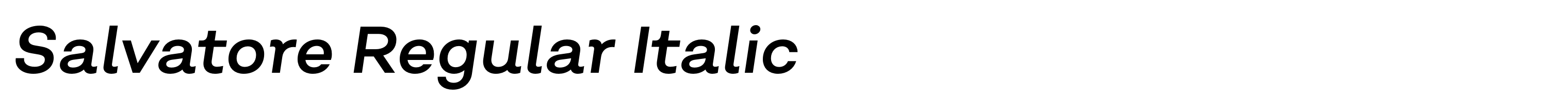 Salvatore Regular Italic